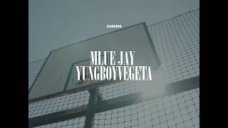 Mlue Jay