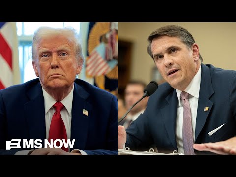 ‘30 Watergates happening weekly’: Rep. Ansari blasts 'corrupt' Trump White House