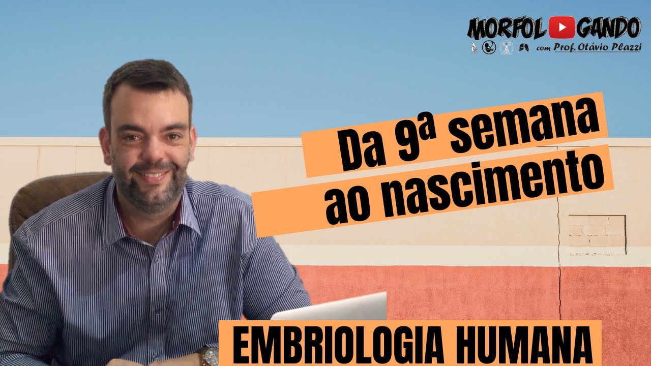 Período Fetal - da Nona Semana ao Nascimento (Embriologia Humana)