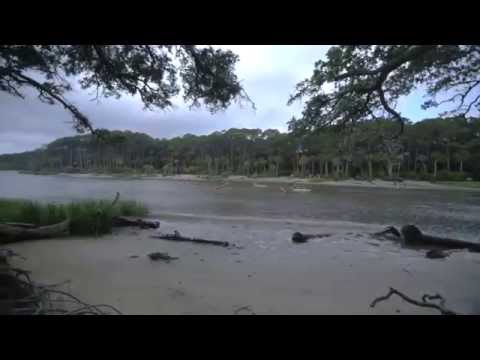 Estuaries: Where the River Meets the Sea