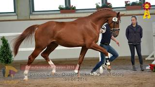 Video von Damon Dancer