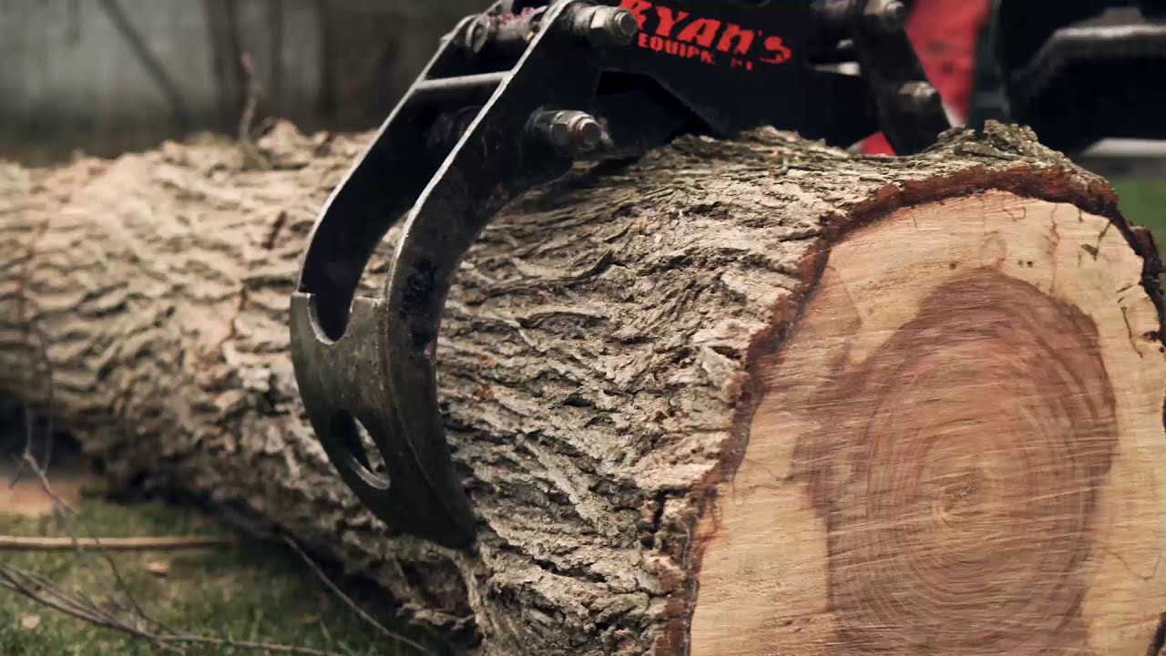 Tree cutting meme