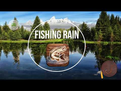 Fish rain: sport fishing video