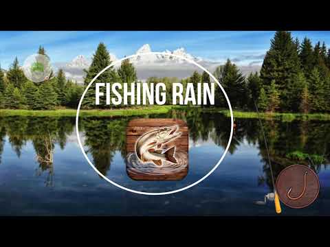 Fish rain: sport fishing Video