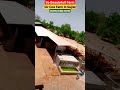 Gir Cow Farm In Gujrat Gir Cow Price In India Shorts Cow Dairy Farming Agriculture Farm