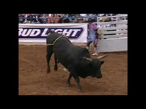 Wild Thing bucks Kirk Wakefield - 95 PBR Odessa