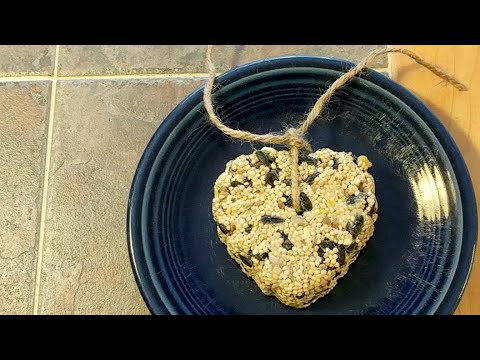 DIY Bird Seed Ornaments