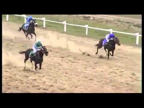 6° Carrera - 1° Felizado (SINT-Melo)