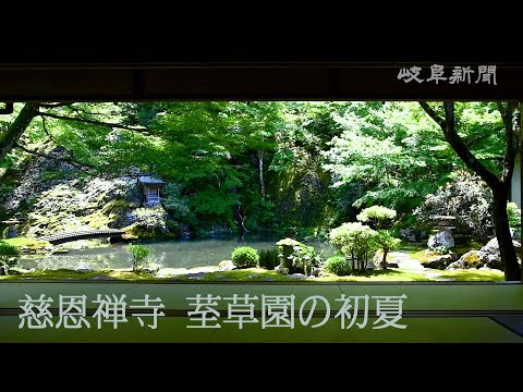 現代の禅庭 – 調和のとれた日本庭園の作り方  庭園