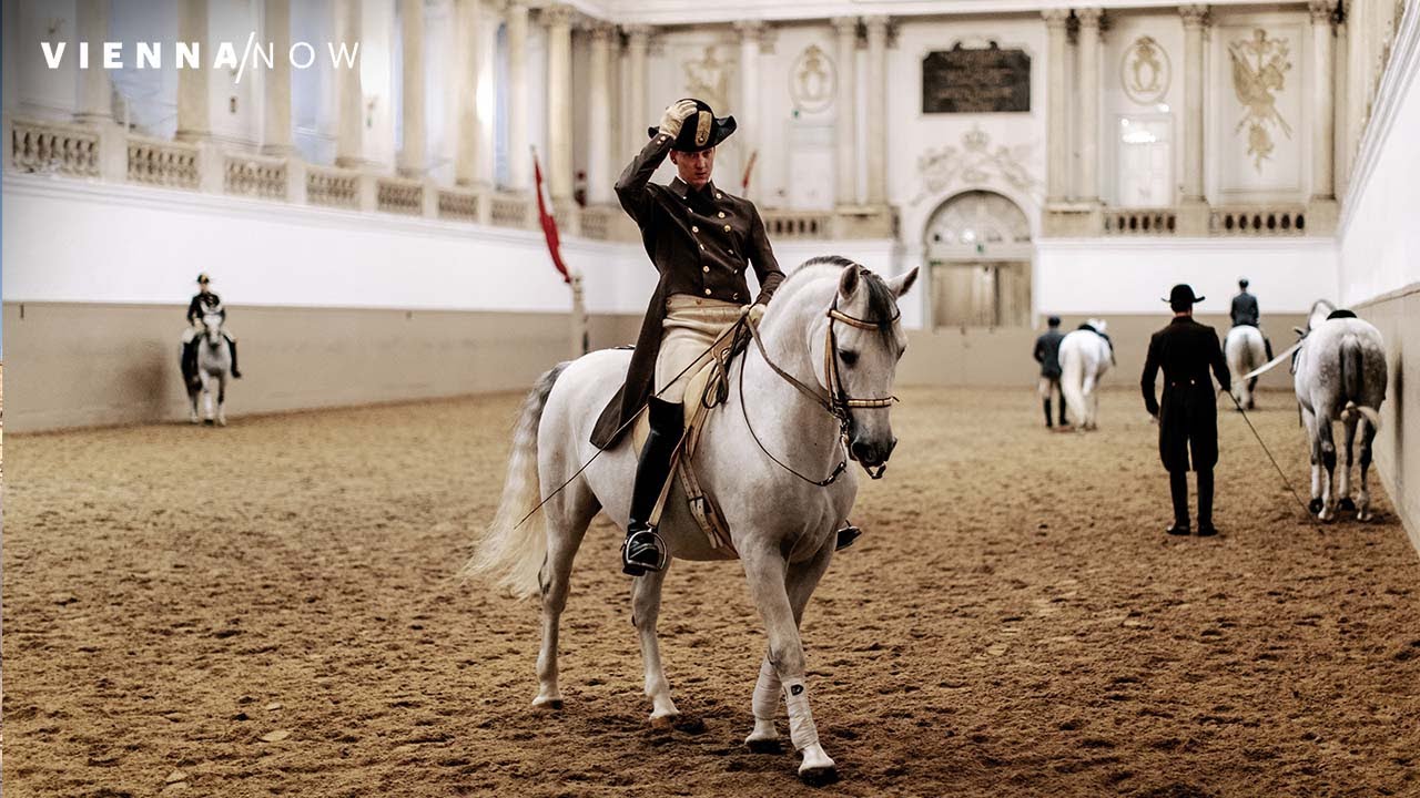 Discover the highlights of Spanish Riding School Training experience.