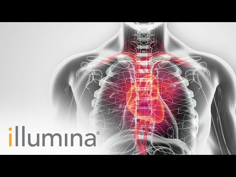 Exploring the Genetic Architecture of Brugada Syndrome with Genomic Methods