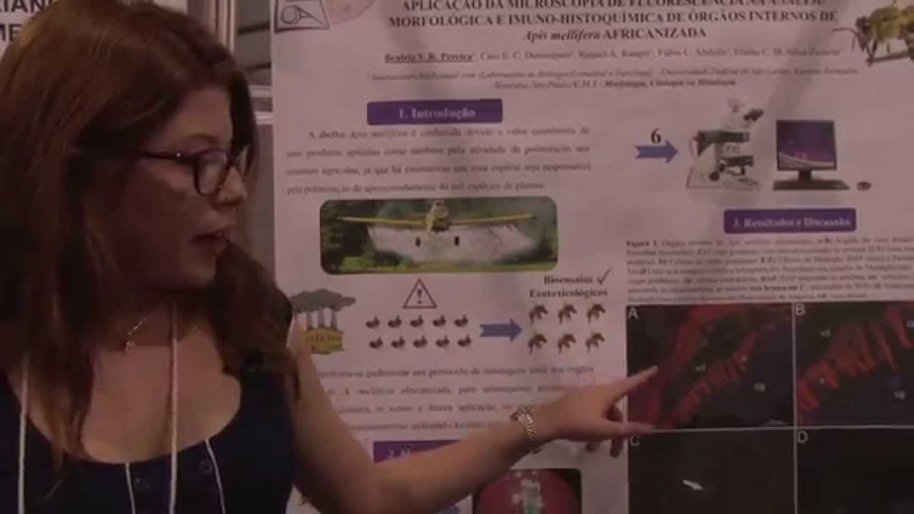 SBPC 2015 - Pesquisa testa novo método de análise do efeito de agrotóxicos em abelhas