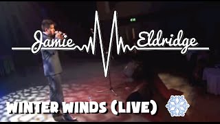 Winter Winds (Live) - Jamie Eldridge
