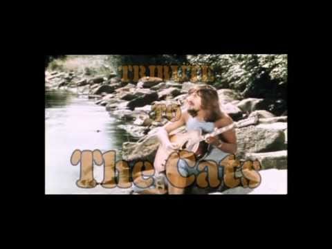 Tribute to the Cats band (Cats tribute)