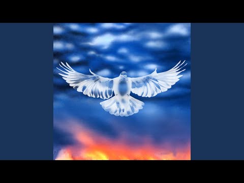 Tape E (Touche Mix)