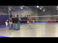 Maddie Dease Setter/RS Skills Video June 2017