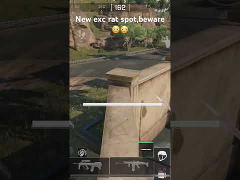 Beware new rat spot found again