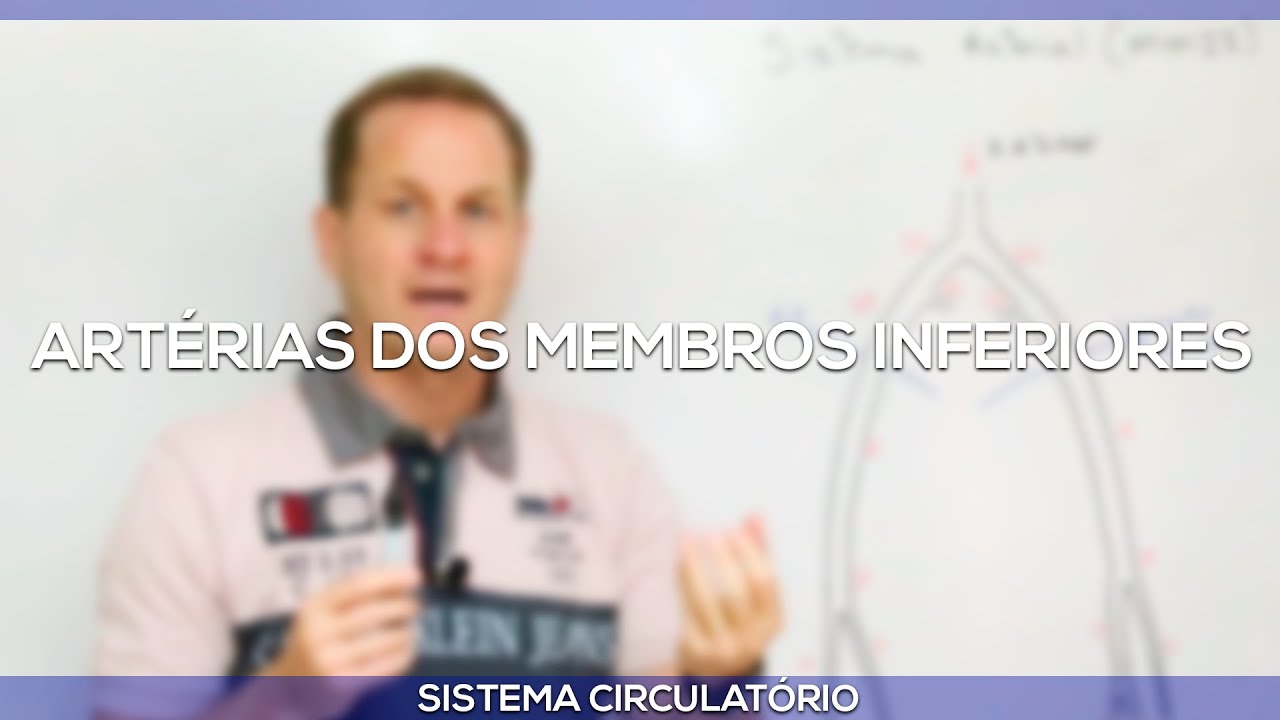 Artérias dos membros inferiores