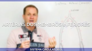 Artérias dos membros inferiores