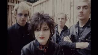 Siouxsie and The Banshees -Trophy -   subtitulada español