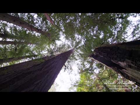 Ocean Breeze by Jerald Simon - Relaxing and Peaceful Meditation Music for Spa, Sleep, Study