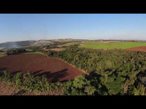 Finca Agrícola de 48 hectáreas en José Fassardi - Guaira