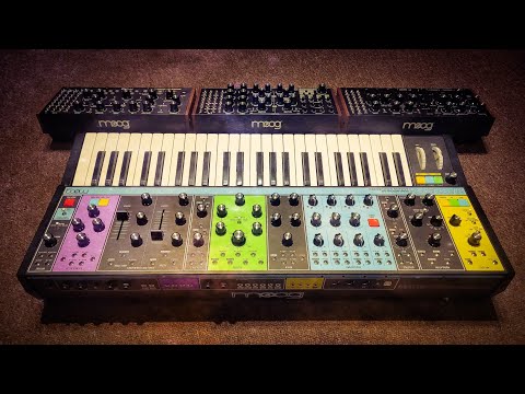 Finally - A Moog Video!!