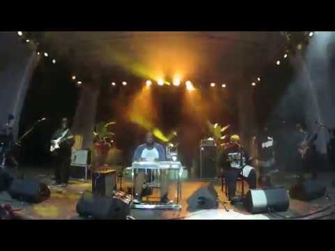 The Lee Boys Live - Florida's Sacred Steel Band aLIVE at Springing The Blues Festival 2019