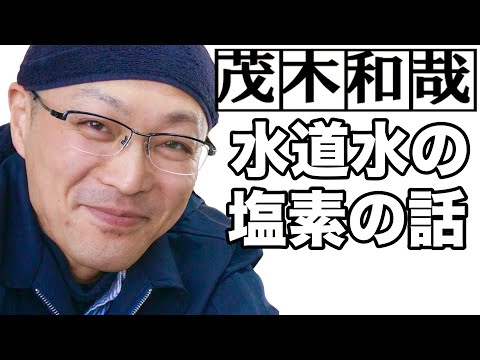 スイミングプールの塩素に代わる製品は何ですか?革新的なソリューションとは何ですか?  庭園