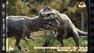 Muldoon's Log - Supplementary Footage E