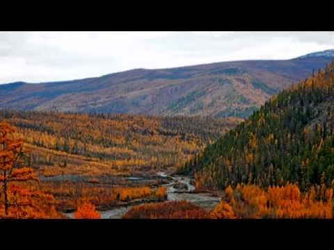 СТИХ СТАРАТЕЛЯ . Артель Витим