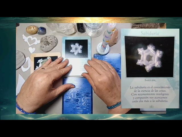 Vídeo relacionado con My Other Me - Set Mata-Vampiros gris de decoración con cruz, botella de agua bendita y cuchillo medidas 25,5 x 30 cm. Añade un aire siniestro a tu colección temática