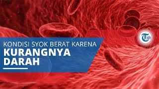 Hipovolemia, Syok Berat yang Diakibatkan Kurangnya Pasokan Darah yang Mengalir ke Dalam Tubuh
