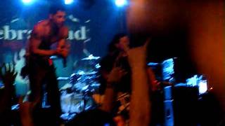 Zebrahead - The Setup Live