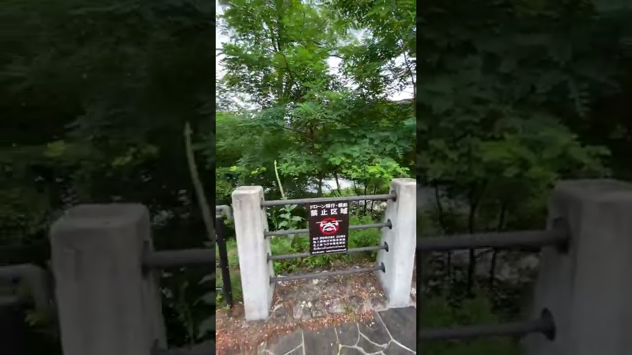 YouTube Short thumbnail