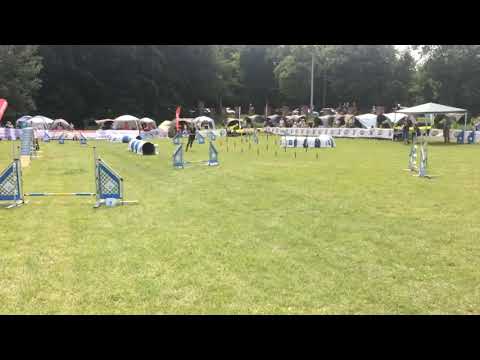 Puchar Bursztynowego Psa 2019