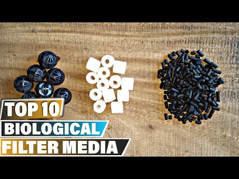 Biological Filter Media: ✅ Best Biological Filter Medias 2025 (Buying Guide)