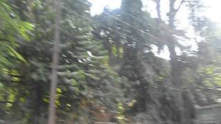 Lodha Grandezza  Vista