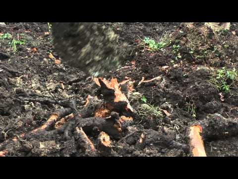 Nieuwe binnentuin Ziekenhuis Amstelland