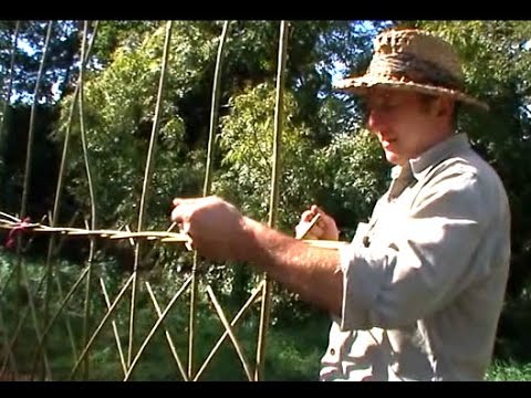 download lagu mp3 mp4 How To Grow A Willow Fence, download lagu How To Grow A Willow Fence gratis, unduh video klip How To Grow A Willow Fence