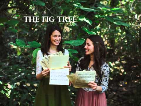 The Fig Tree - Berci Sisters (Official Audio)