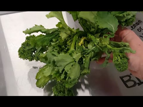 Different Types of Broccoli | Time Inc. Food Studios