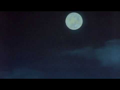 klinac x albino - podočnjak (slowed + reverb)