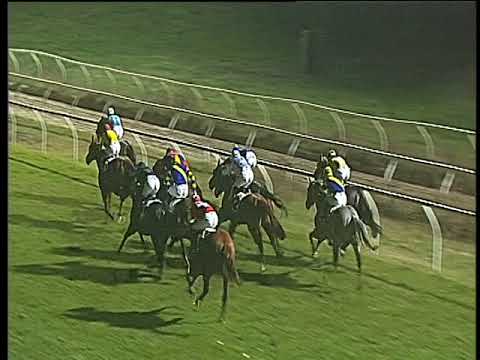 Galoppo 27/01/2018 - 7ª corsa