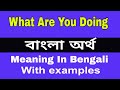 What are You Doing Meaning In Bengali/ What are You Doing শব্দের অর্থ বাংলা ভাষা