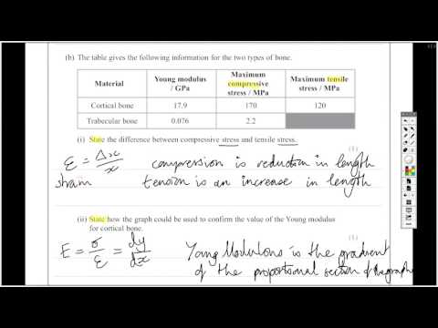 Question 15 Edexcel Unit 1: Mechanics and Materials - A Level Physics