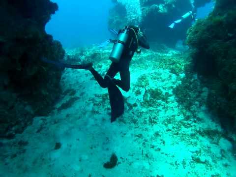 SCUBA dive at Palancar Reef, Cozumel