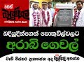 balumgala-15-11-2017