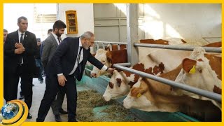 «Ժամանակին կովերն էլ են մարդկանց հետ նույն սենյակում ապրել». Փաշինյանը՝ ընտանեկան արժեքների մասին