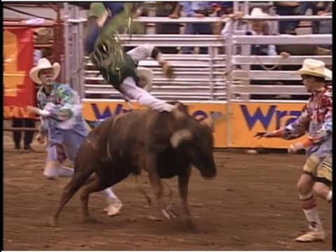 PBR 1995: Huckleberry Flips Royd Doyal